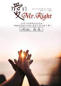 爱的Mr.Right封面